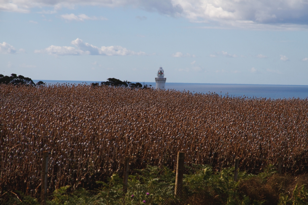 22 - Wynyard (2).jpg